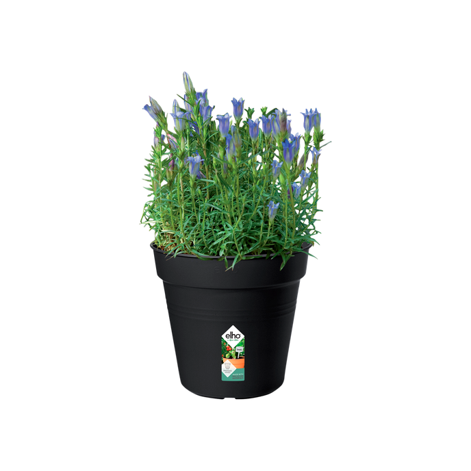 green basics growpot 17cm living black
